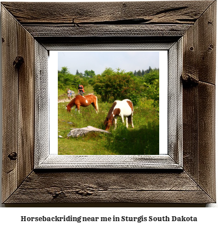 horseback riding near me in Sturgis, South Dakota